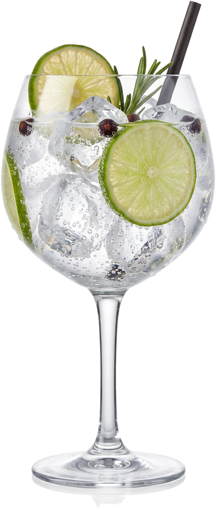 Gin Tonic